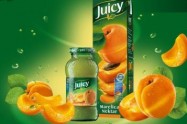 Agrokor službeno: Stanić Grupa od Jamnice kupila Juicy