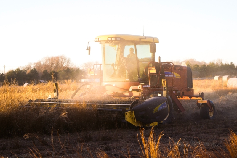 Podravka Agri uspješno završila žetvu ječma i pšenice Podravka Agri uspješno završila žetvu ječma i pšenice